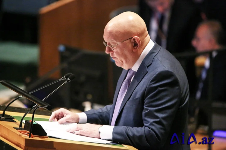 Nebenzya BMT baş katibin hesabatını tənqid edib