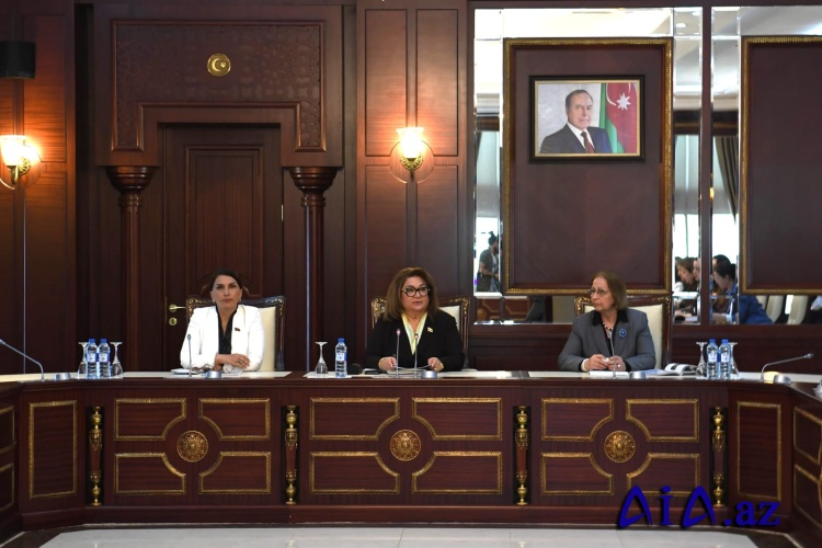 Milli Məclisin Ailə, qadın və uşaq məsələləri komitəsinin iclası keçirilib