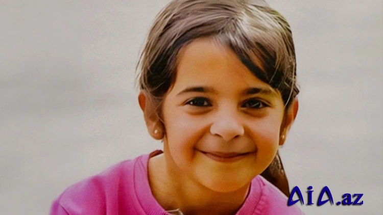 Narin Güran işi üzrə hökmlər təsdiqlənib