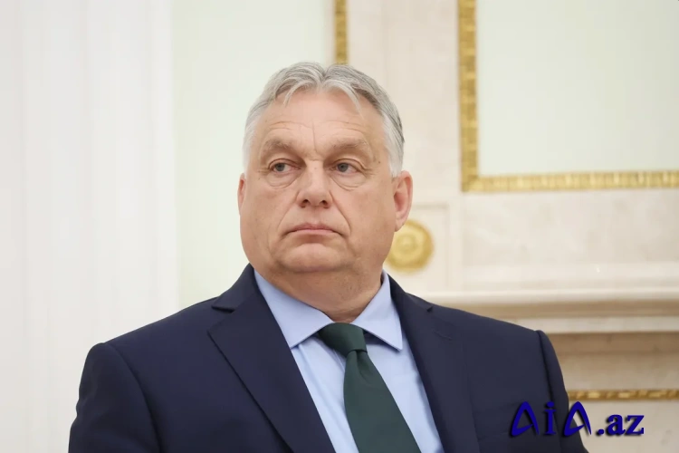 Macarıstan bəyan edib ki, NATO üçüncü dünya müharibəsindən qorxur
