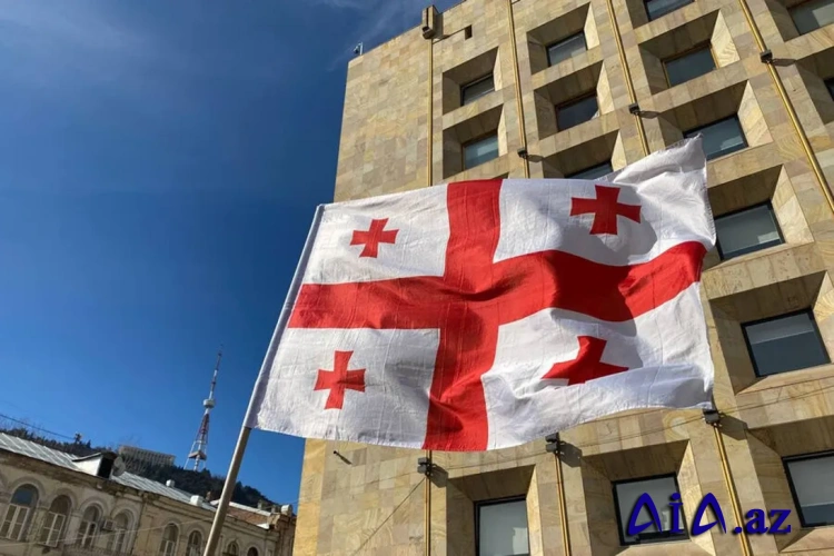 Gürcüstan Almaniya səfirini “siyasi pedofiliya”da ittiham edir