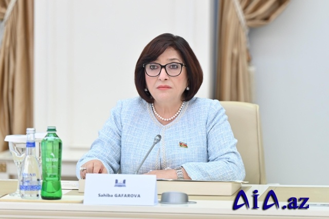 Milli Məclisin sədri Sahibə Qafarova Bolqarıstan Respublikası Milli Assambleyasının sədri ilə görüşüb