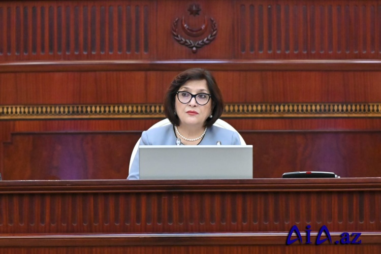 Sahibə Qafarovanın sədrliyi ilə Milli Məclisin növbədənkənar sessiyasının növbəti plenar iclası keçirilib