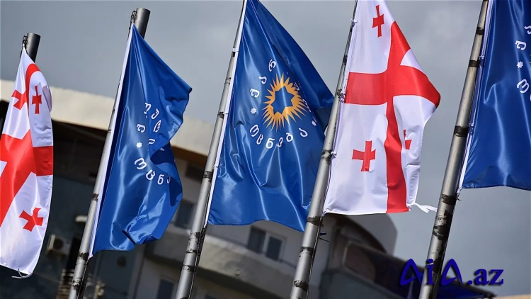 Tbilisi mer seçkiləri: Gürcü arzusu namizədini elan etməyə hazırdır