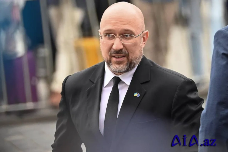 Ukraynanın keçmiş baş naziri qüvvələrin səfərbər edilməsinə münasibət bildirib