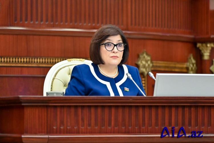 Sahibə Qafarovanın sədrliyi ilə Milli Məclisin iclası keçirilib