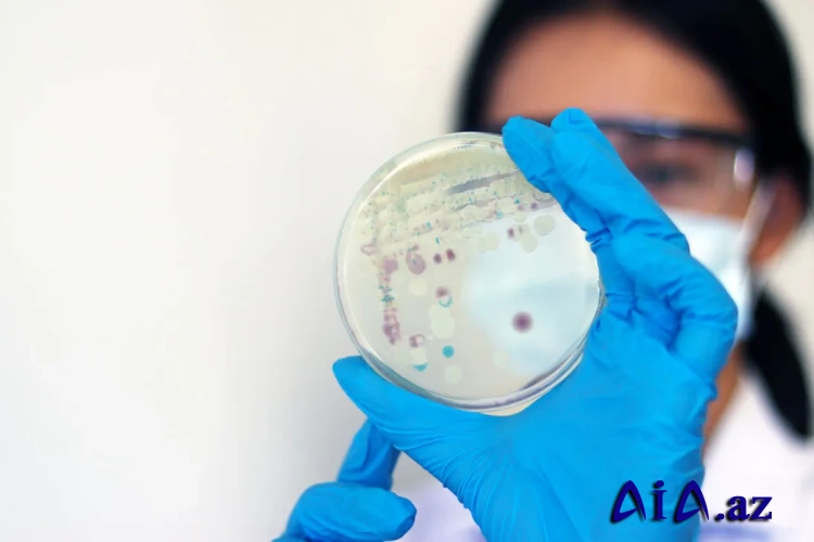 ABŞ -da Vibrio vulnificus bakteriyasına yoluxma halları daha tez-tez baş verir