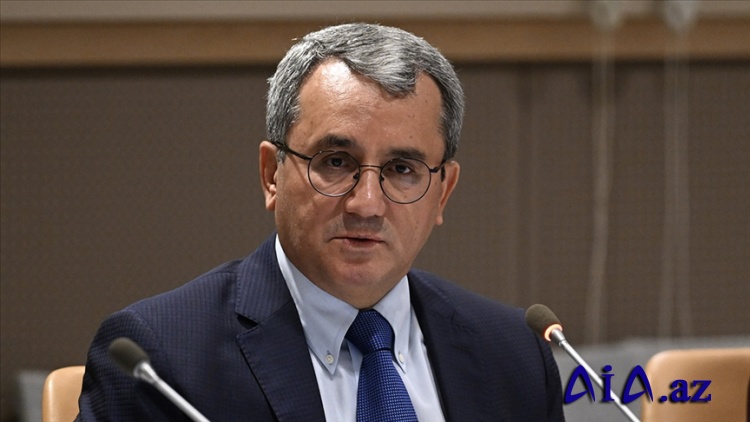 Türkiyənin BMT-dəki daimi nümayəndəsi Suriyada sabitlik üçün mərkəzi idarəetmənin vacib olduğunu bildirib