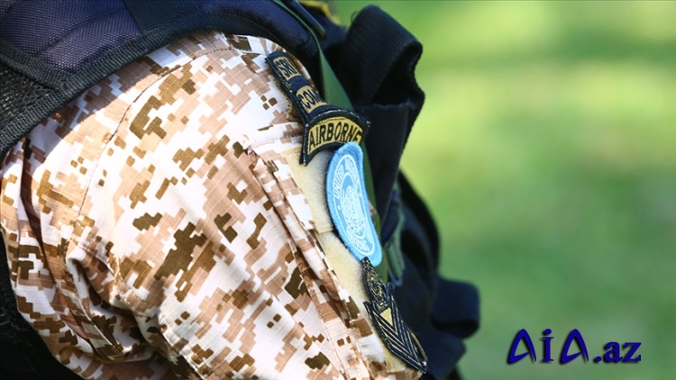 BMT yekdilliklə UNIFIL-in Livandakı sülhməramlı qüvvələrini dayandırmağa qərar verib
