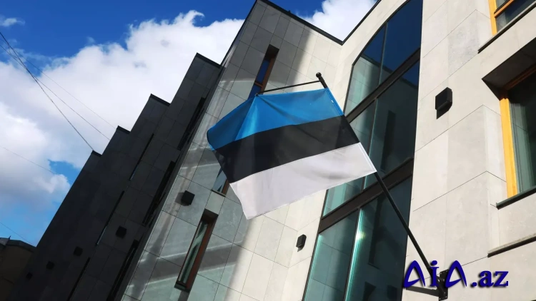 Estoniya sərhəddində Rusiya vətəndaşının ağıllı dinamiki Ukrayna üçün “təhlükə” olaraq görülüb