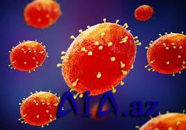 Dəhşətli virus o ölkəni ələ keçirdi: Xəstəliklərin sayı nəzarətdən çıxdı