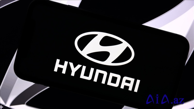 Hyundai müəssisəsində 475 nəfər miqrasiya polisi tərəfindən saxlanılıb