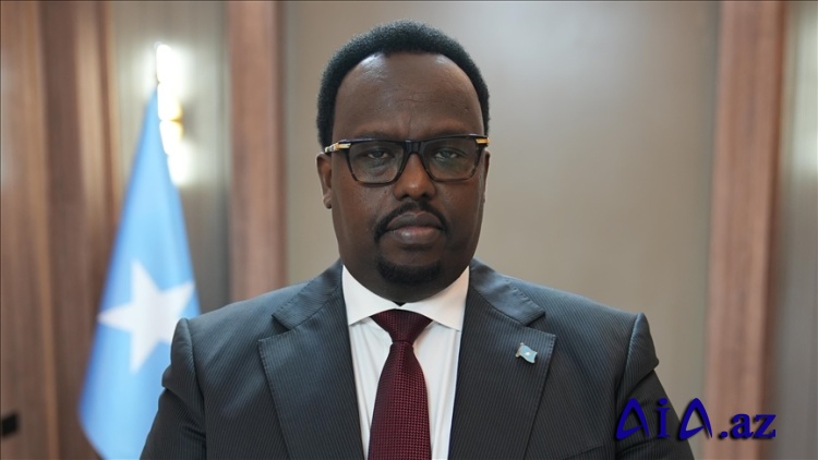 Somali Baş nazirinin müavini Cama ölkəsinin son 10 ilini qiymətləndirdi