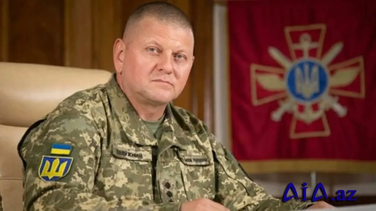 Zalujnıya Ukrayna prezidenti olmağa kimin kömək edə biləcəyi məlum olub