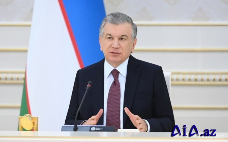 "Vaşinqton Bəyannaməsi Türk xalqlarının zəfəridir"
