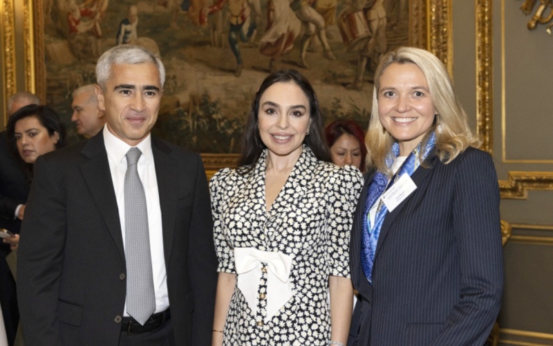 Leyla Əliyeva Londonda yüksəksəviyyəli iqlim dialoqunda iştirak edib -
