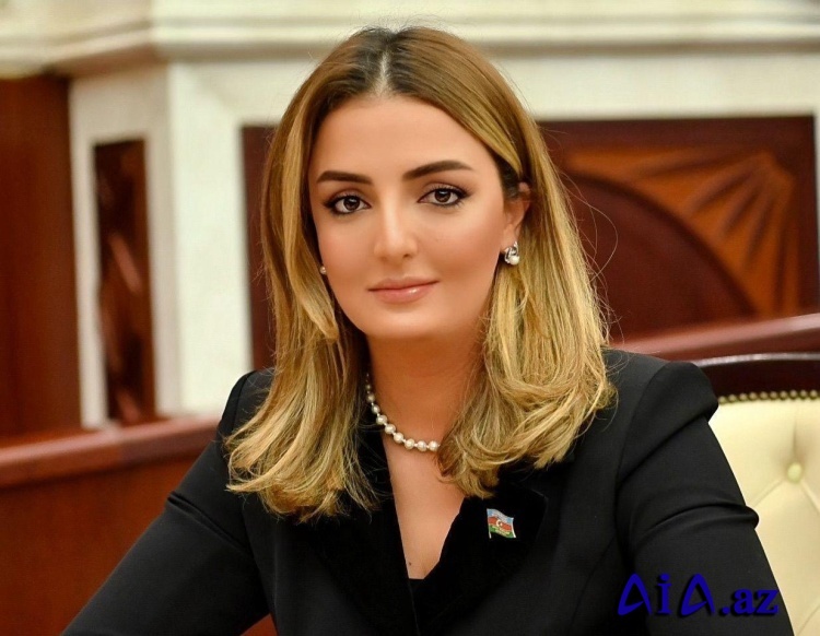 “Qubadlı 30 illik istehkamların darmadağın edilməsindən sonra azad olundu”