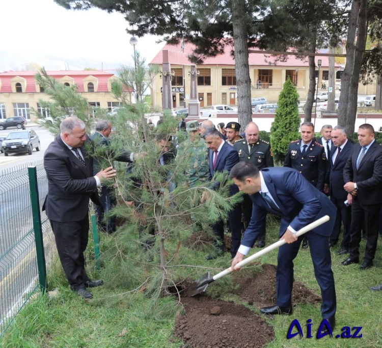 Gədəbəydə 8 Noyabr–Zəfər Günü ilə əlaqədar ağacəkmə aksiyası keçirilib