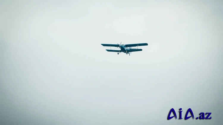 Krasnoyarsk yaxınlığında An-2 təyyarəsinin qəzaya uğraması nəticəsində hər iki pilot ölüb