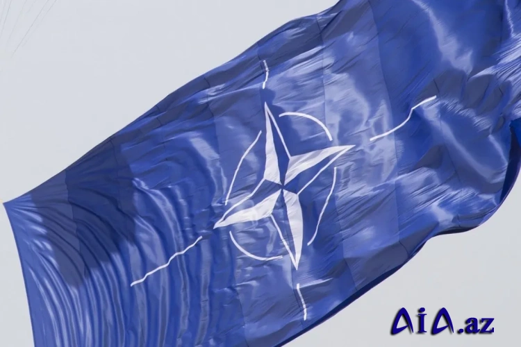 “NATO-nun çılğın oyunu”: Alyans Rusiyanı uçurumun uçuruma aparır