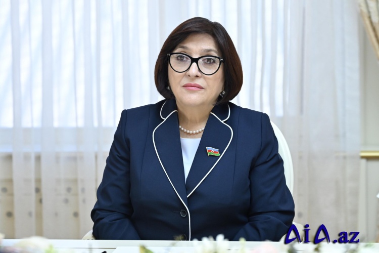 Sahibə Qafarova Kamboca Milli Assambleyası sədrinin müavini ilə görüşüb