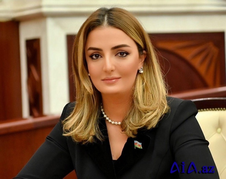 Milli Məclisin deputatı Çad Respublikasına səfər edəcək