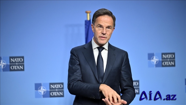 NATO müttəfiqlərinin yarıdan çoxu Ukraynaya silah təchizatı proqramını dəstəkləyir