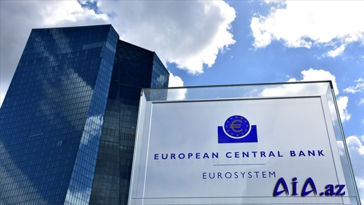 ECB baş iqtisadçısı Avropa bankları üçün dollar riski barədə xəbərdarlıq edir