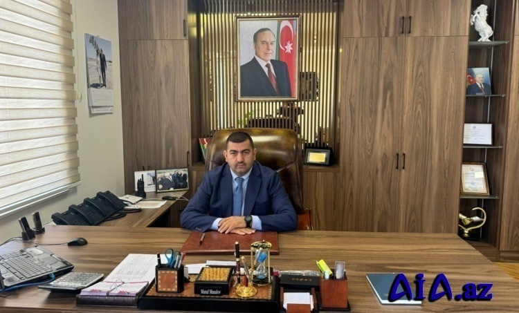 Manaf Manafov: "Azərbaycan Respublikasının Konstitusiyası müasir, demokratik və dünyəvi dövlət modelinin əsasını qoydu"