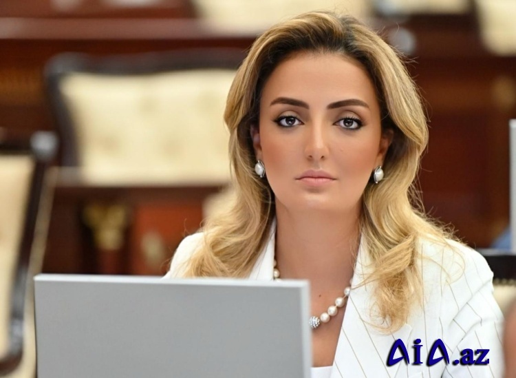 “Azərbaycan Konstitusiyası ölkəmizin inkişafına güclü təkan verdi”