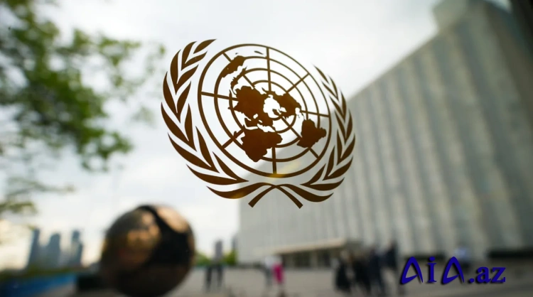 Əfqanıstan BMT-ni ikili standartlarda ittiham etdi