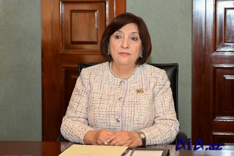 Milli Məclisin sədri Sahibə Qafarova Ərəb Parlamentinin Prezidenti ilə görüşüb