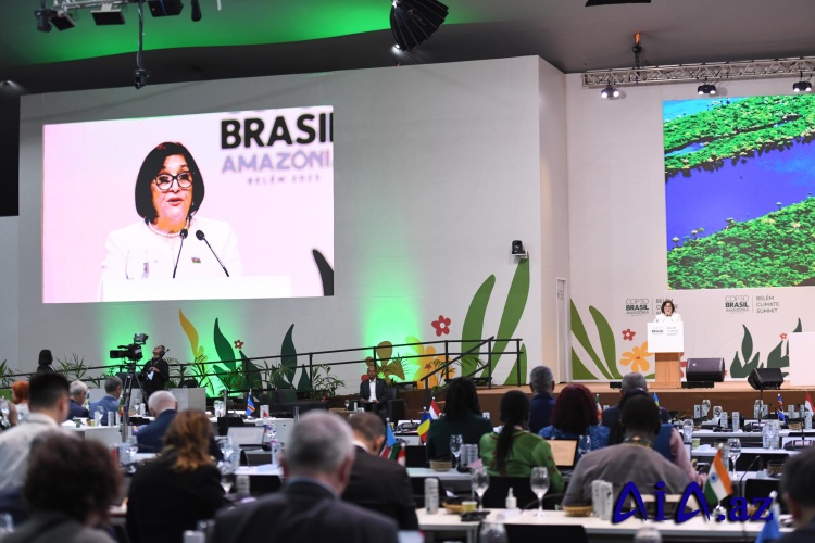 Sahibə Qafarova: Azərbaycan Prezident İlham Əliyevin rəhbərliyi ilə ən uğurlu COP-lardan birinə ev sahibliyi etdi