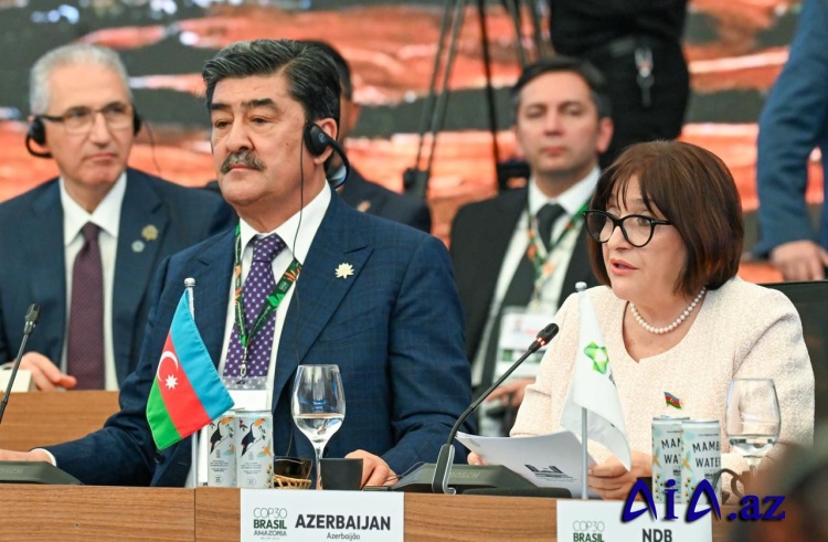 Sahibə Qafarova: Azərbaycan bərpa olunan enerjinin inkişafı sahəsində lider dövlətlərdən birinə çevrilməkdədir