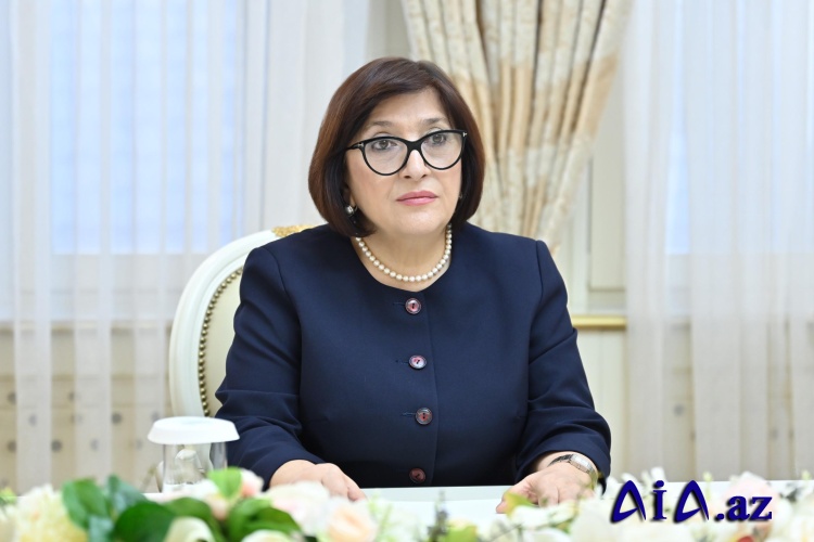 Milli Məclisin sədri Sahibə Qafarova Slovakiyanın ölkəmizdəki səfirini qəbul edib