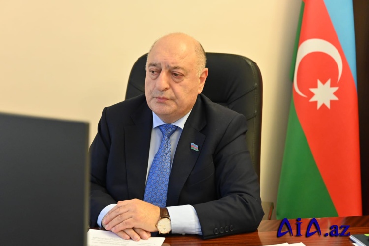 Milli Məclisin Əmək və sosial siyasət komitəsinin videokonfrans formatında iclası keçirilib