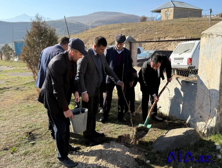 Goranboy rayonunun Börü kəndində Zəfər Günü ilə əlaqədar ağacəkmə kampaniyası keçirilib