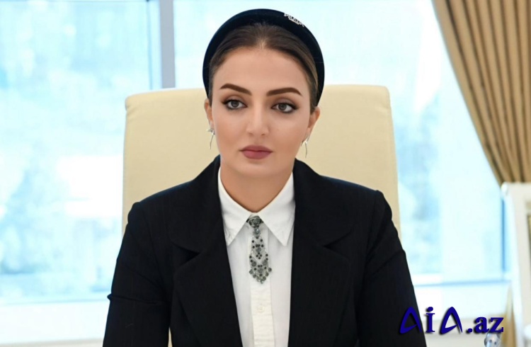 “Dünya hələ də yüksək səviyyədə təşkil olunan COP 29-dan danışır”