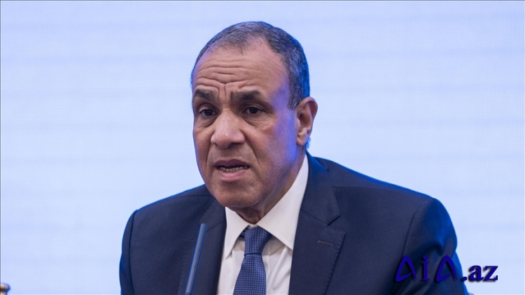 Misir xarici işlər naziri: Misir-Türkiyə tərəfdaşlığı regional böhranların həllinə müsbət töhfə verir