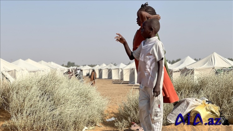 BMT məruzəçiləri Sudanın Faşir şəhərində insan alveri ilə bağlı təcili tədbirlər görülməsinə çağırır