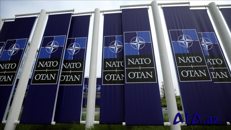 8 NATO üzvü ölkəsi Ukraynaya 500 milyon dollarlıq dəstək paketi ayırıb