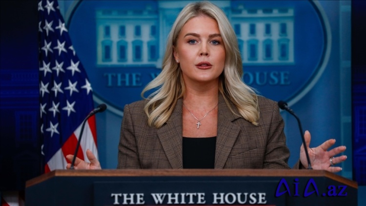 Ağ Ev sözçüsü Leavittin qardaşı oğlunun anası saxlanılıb