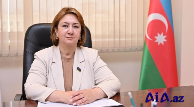 Konstitusiya və Suverenlik İli: Humanizmə söykənən güclü dövlət və tarixi amnistiya qərarı