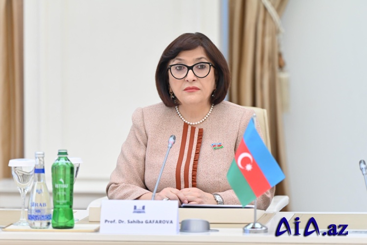 Milli Məclisin sədri Sahibə Qafarova Monteneqro Baş nazirinin müavini, xarici işlər naziri ilə görüşüb