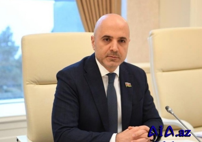 Göydəniz Qəhrəmanov: "Elektron siqaretlərin istifadəsi nəzarət mexanizmlərinə daxil edilməlidir"