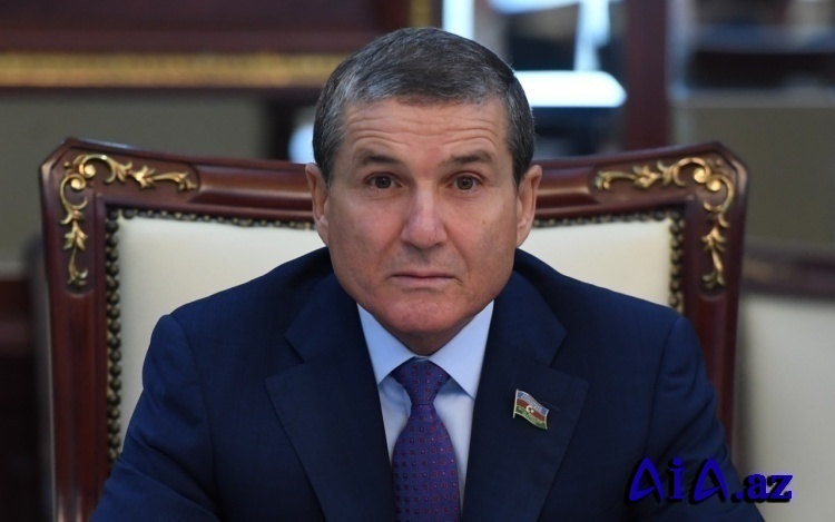 Milli enerji təhlükəsizliyindən qlobal “yaşıl gələcəyə”