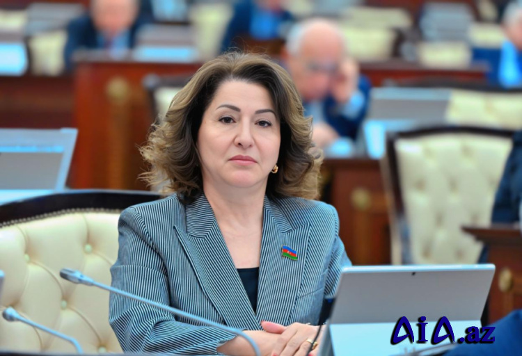 “Dayanıqlı su təminatı Azərbaycanın strateji prioritetidir”  - DEPUTAT