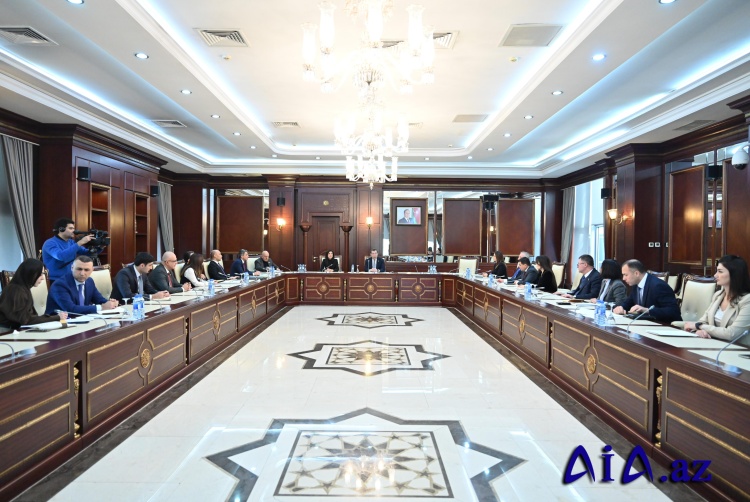 Milli Məclisin Beynəlxalq münasibətlər və parlamentlərarası əlaqələr komitəsinin iclası keçirilib