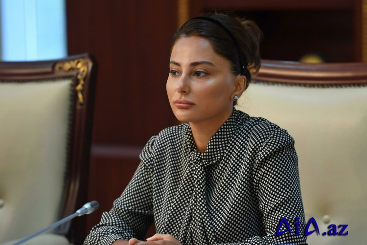 Ölkəmizdə yeni iri həcmli layihələr icra ediləcək