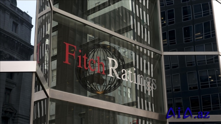 Fitch, ABŞ istehlakçılarının dayanıqlılığının bu il də davam edəcəyini bildirib